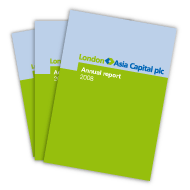 2008 Annual Report